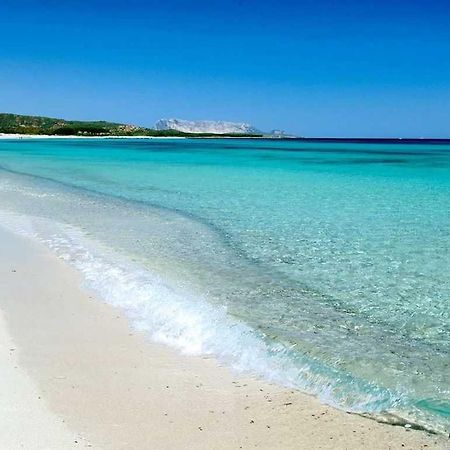 Villa Indipendente Al Mare Budoni ตาเนาเนลลา ภายนอก รูปภาพ
