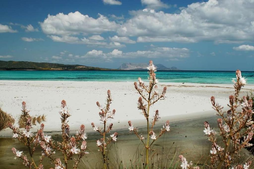 Villa Indipendente Al Mare Budoni ตาเนาเนลลา ภายนอก รูปภาพ