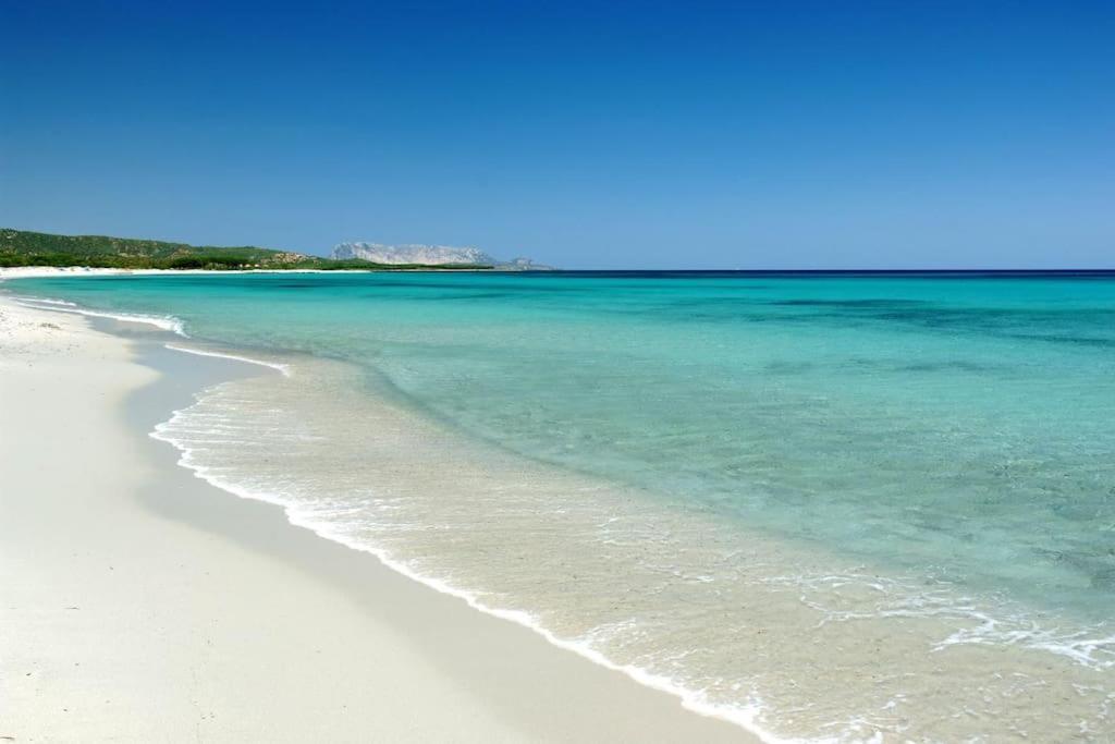 Villa Indipendente Al Mare Budoni ตาเนาเนลลา ภายนอก รูปภาพ