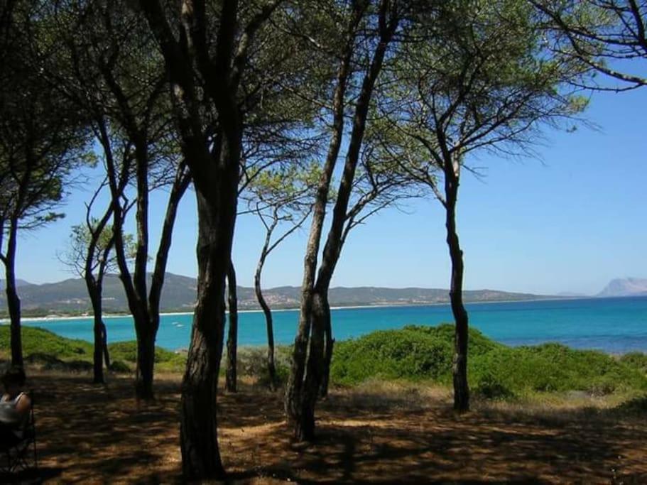Villa Indipendente Al Mare Budoni ตาเนาเนลลา ภายนอก รูปภาพ